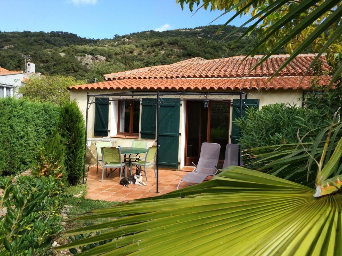 Residence De La Rasclose Sorède 外观 照片